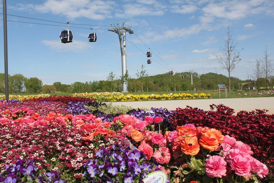 IGA Berlin Seilbahn ber Blumenbeeten 1 klein